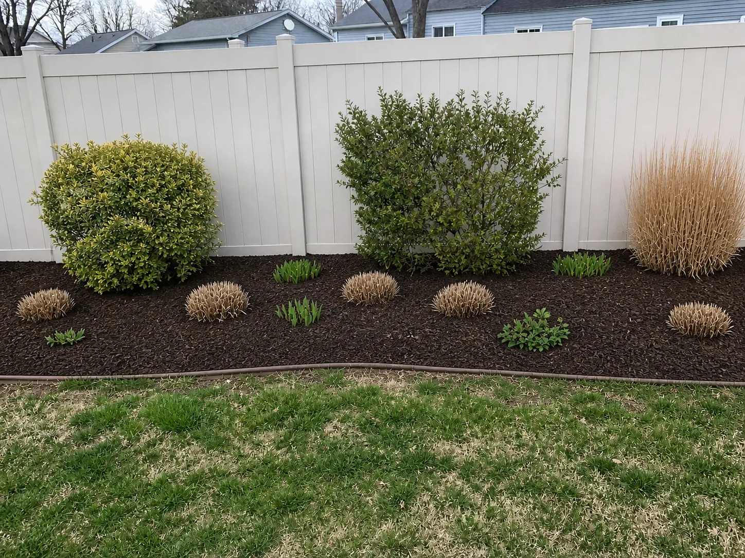 The same backyard bed after cleanup with trimmed plants, fresh mulch, and a neat edge