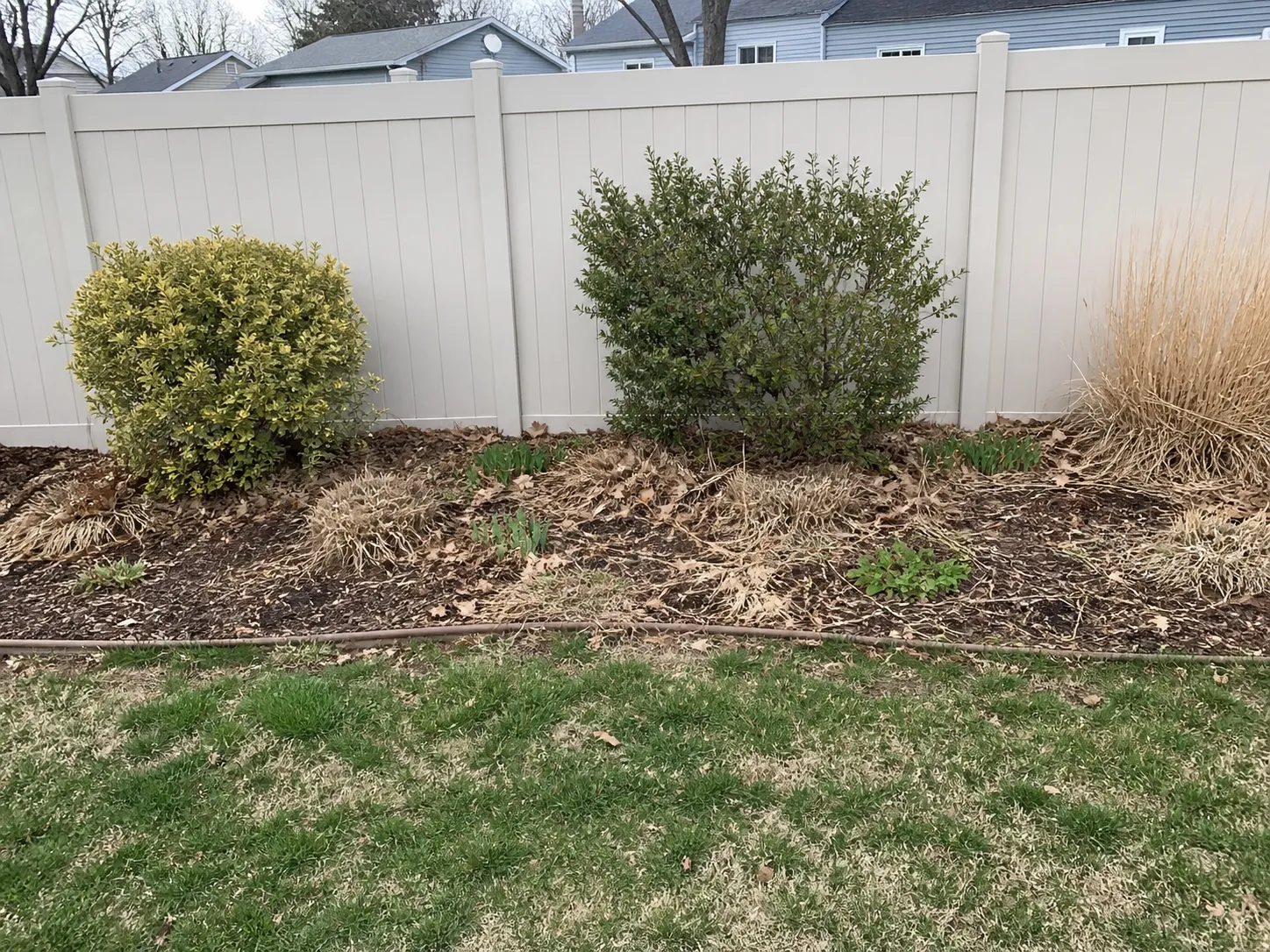 Backyard bed before cleanup with fallen leaves, dry grasses, weeds, and faded mulch